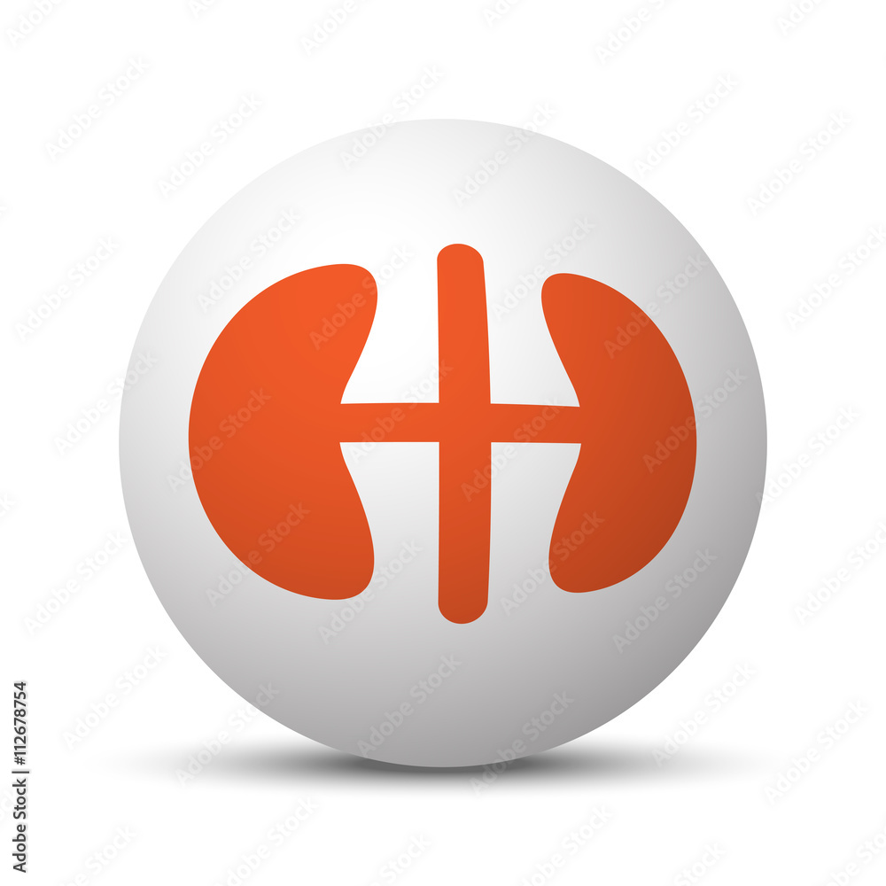 Fototapeta premium Orange Kidneys icon on white ball