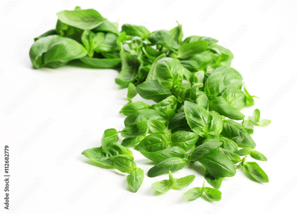 Fresh basil leaves on white background Fresh basil leaves on white background