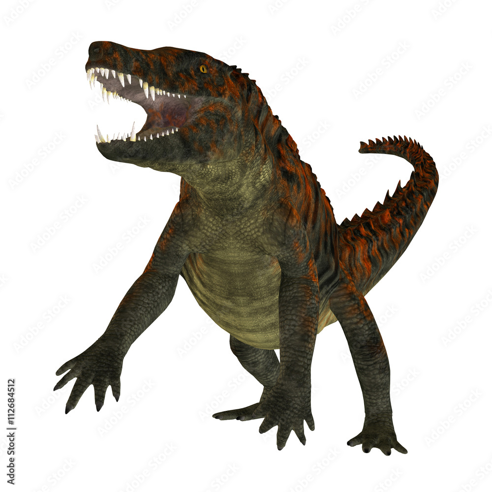 Fototapeta premium Uberabasuchus on White - Uberabasuchus was an archosaur carnivorous crocodile that lived in the Cretaceous Period of Brazil.