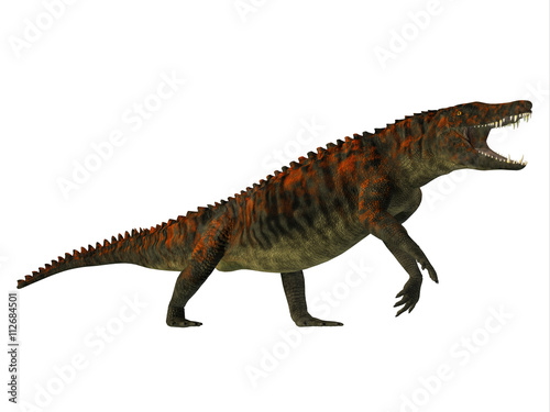 Uberabasuchus Side Profile - Uberabasuchus was an archosaur carnivorous crocodile that lived in the Cretaceous Period of Brazil.