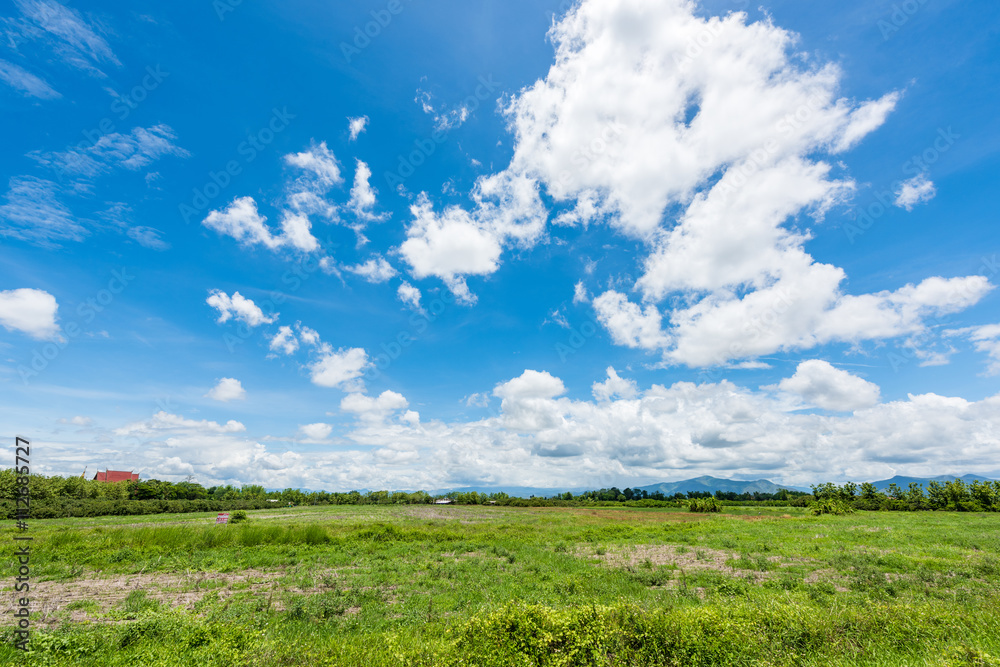 Rice Fields before farming with blue sky Rice Fields before farming with blue sky