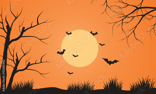 At afternoon bat flying scenery silhouette