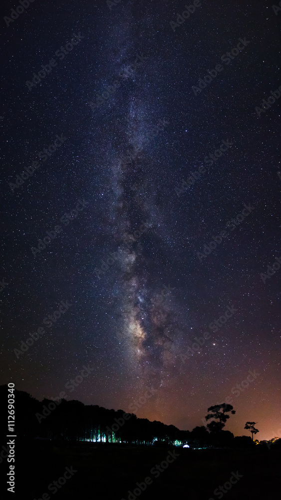 Silhouette of Tree and Milky Way at Phu Hin Rong Kla National Pa