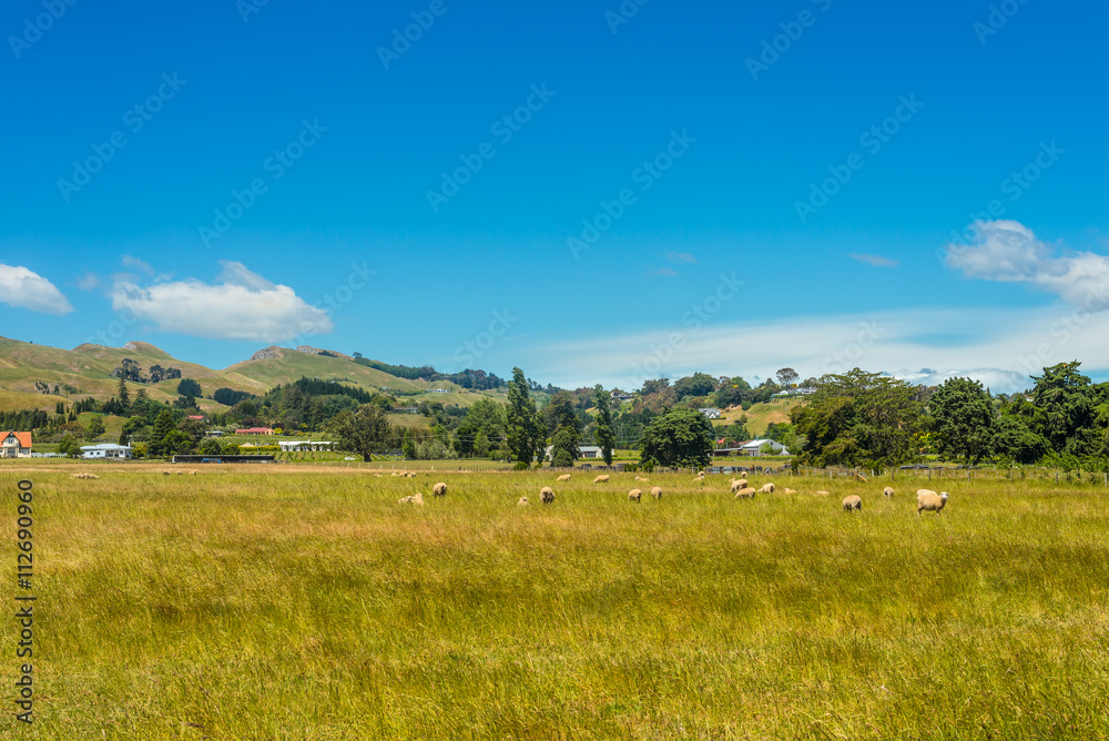 Hill view farm rural area