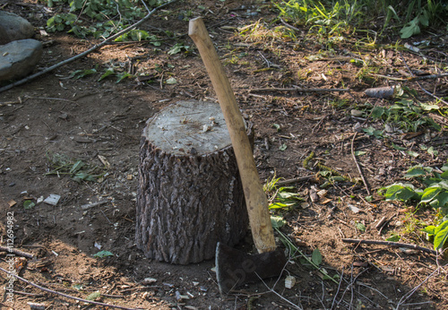 The axe leaning against the log. photo