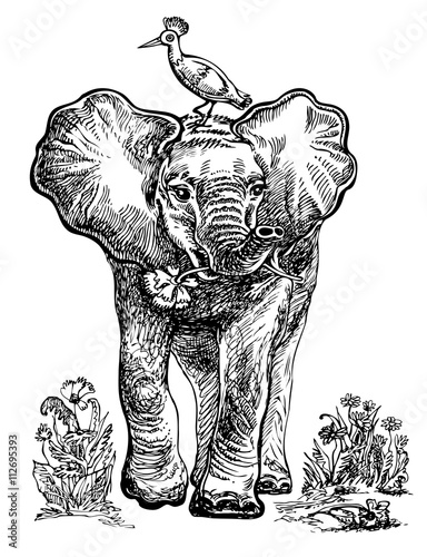 Baby elephant with bird. Vector hand drawn graphic illustration.
