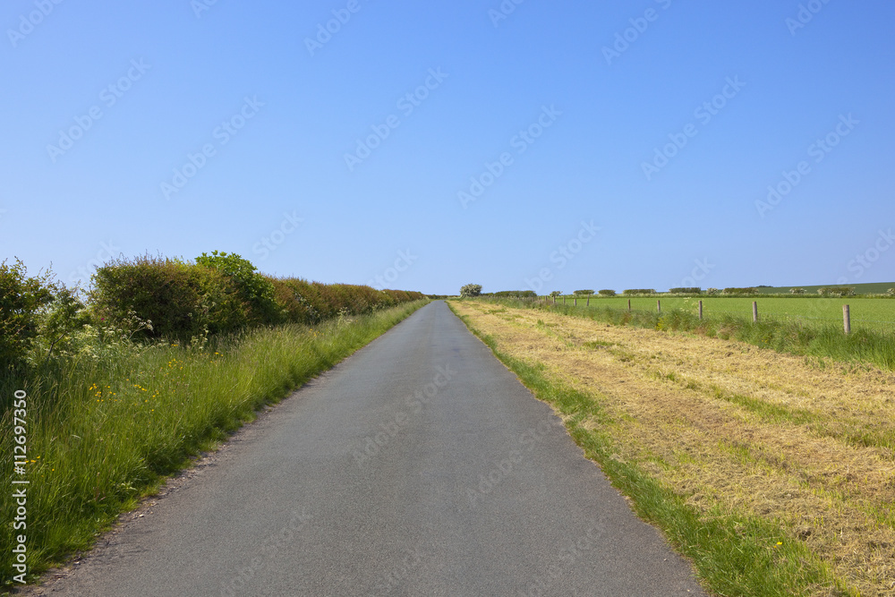small rural road in summer