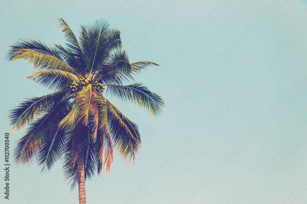 Naklejka premium Kokosowy drzewko palmowe i niebieskie niebo rocznik z przestrzenią.