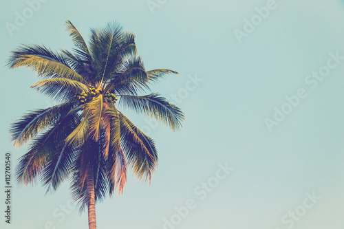 Coconut palm tree and blue sky vintage with space.