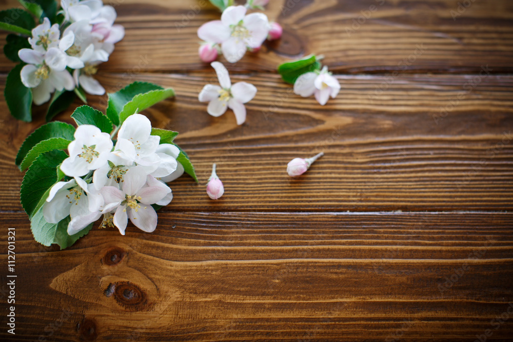 spring flowers of fruit trees spring flowers of fruit trees