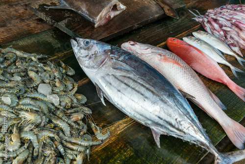 Obraz na plátně Fresh raw seafood on market
