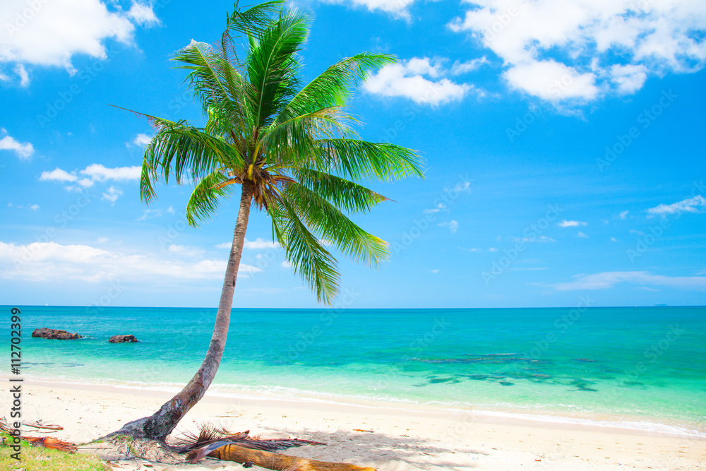 Photographie tropical beach with coconut palm - Acheter-le sur  Europosters.fr