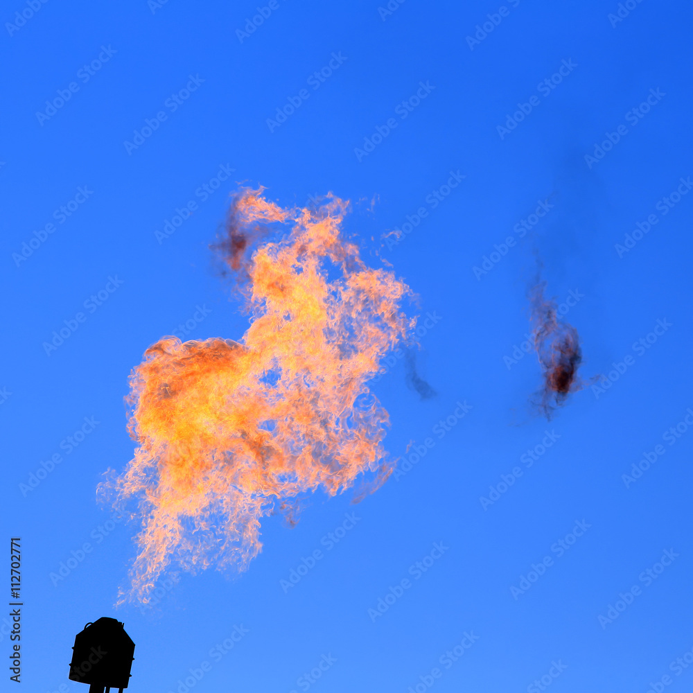 Naklejka premium burning torch