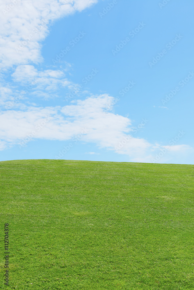 青空と草原　Green field and Blue sky