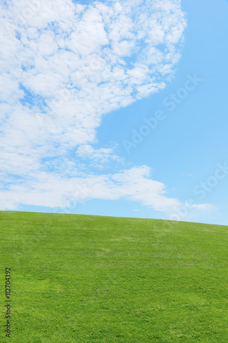                   Green field and Blue sky