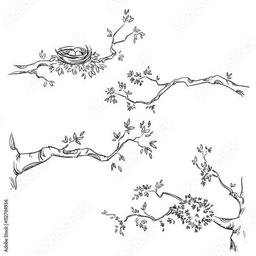 Set of hand drawn branches, vector illustration