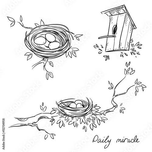 Hand drawn nests and a birdhouse, line drawing