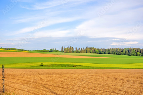 Farmland - brown fields, green meadow © aldorado
