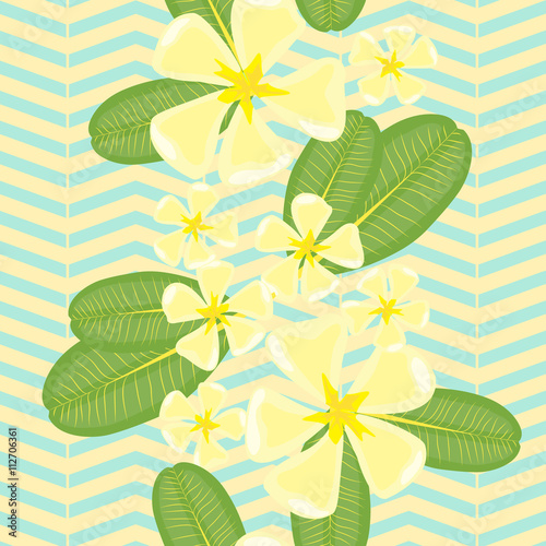 Geometric ornamental background with plumeria flowers and leaves. Frangipani tropical vector seamless pattern. Summer floral decor of plumeria. 