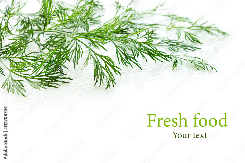 Fototapeta premium Sprigs of green dill on a white background. Wet green dill. Frame with copy space for text. Isolated, studio, close-up