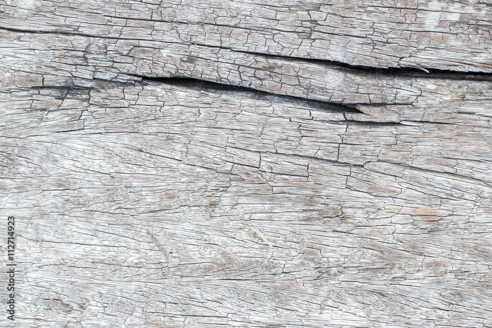 wood texture. background old panels wood texture. background old panels