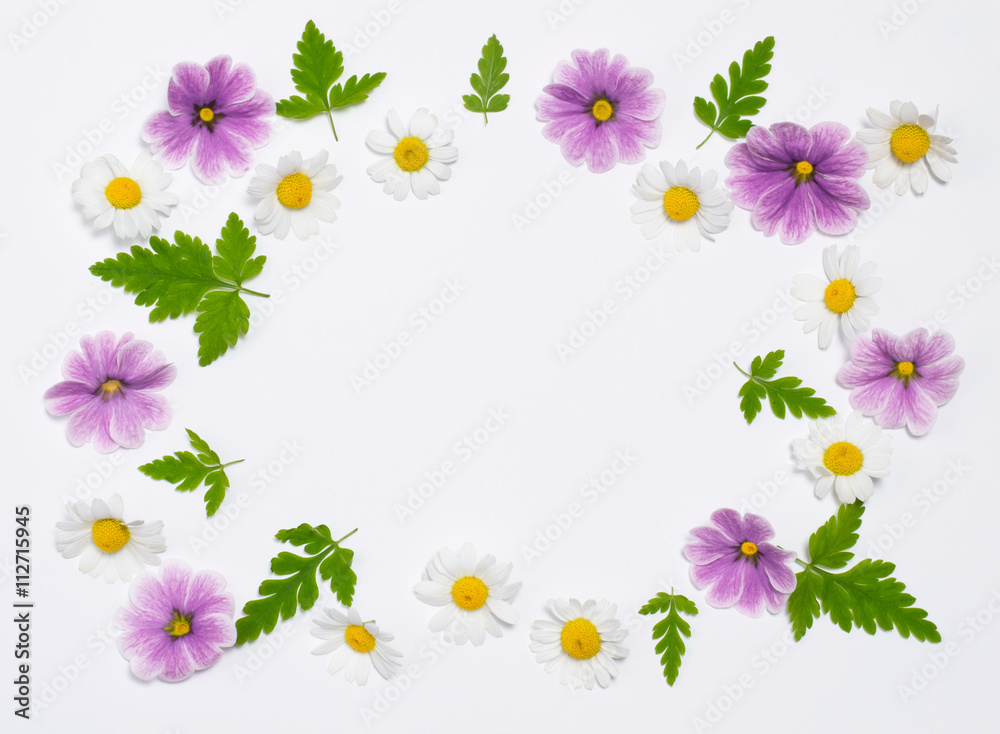 Flowers and leaves on white background