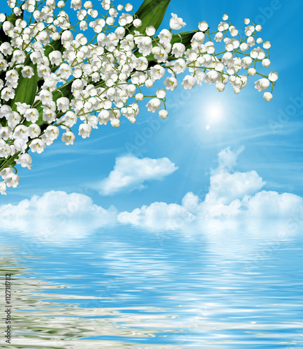 The branch of white flowers lily of the valley on a background o