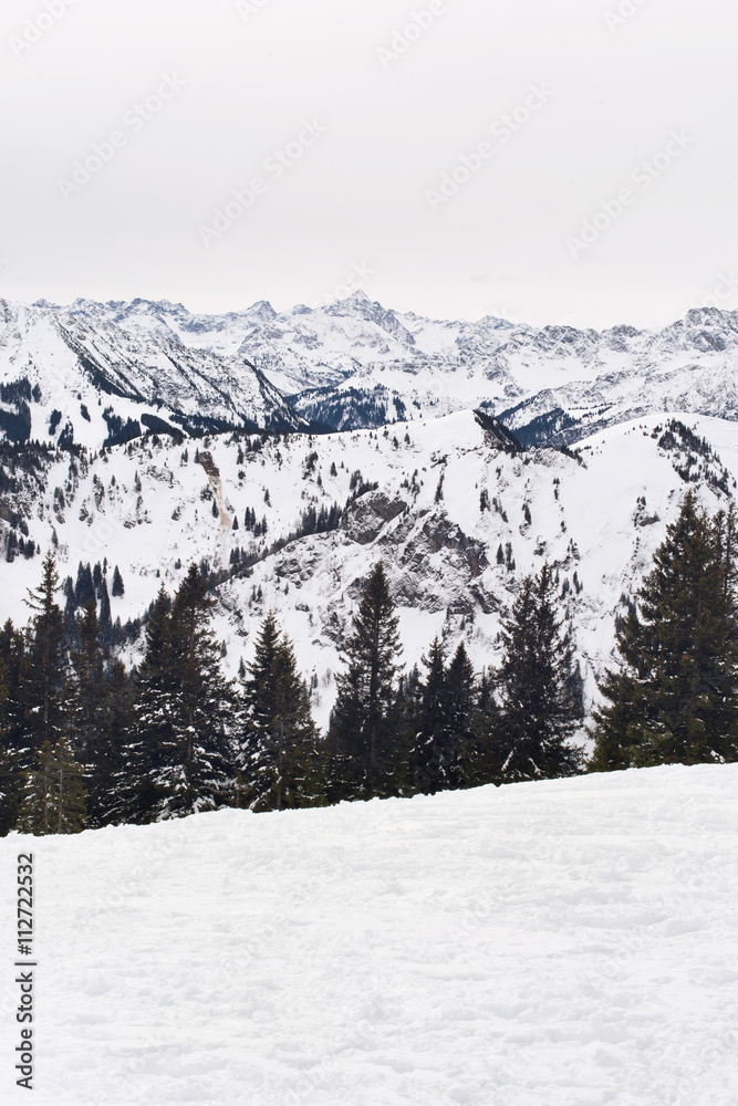 Thick snow covering mountains and trees