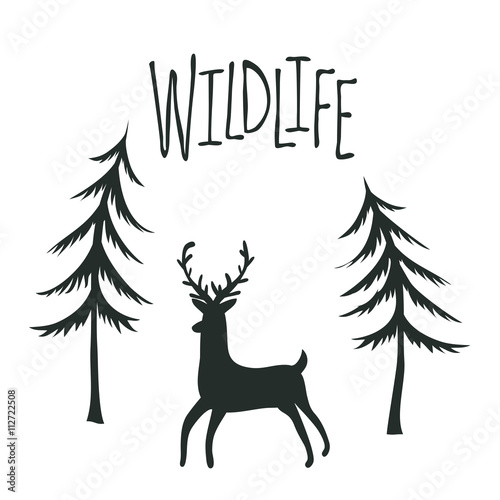 Wildlife print design with deer and pine trees. Vector outdoor landscape illustration.