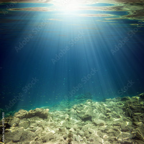 underwater © vovan