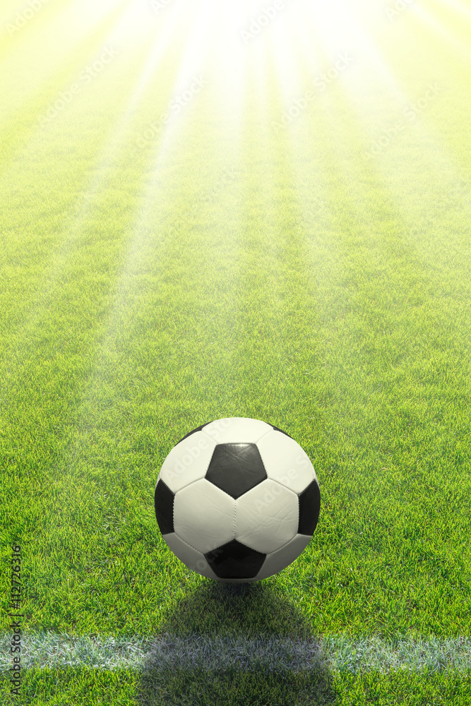 Fototapeta premium Ein Fußball liegt vor einer Linie auf dem Rasen in der strahlenden Sonne