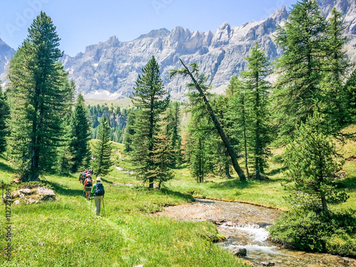 Group of hikers in a green meadow with pine trees, Queyras, the Alps, France photo
