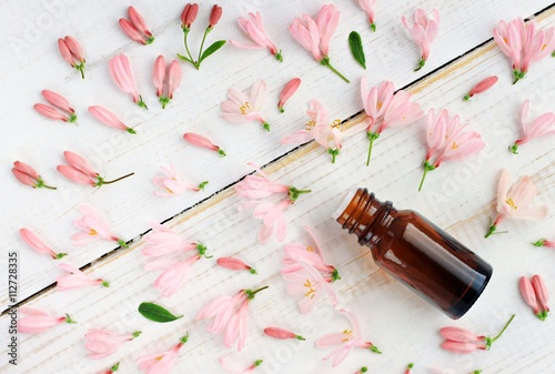 
Apothecary bottle of herbal tincture essential oil, pink flowers scattered, top view. 