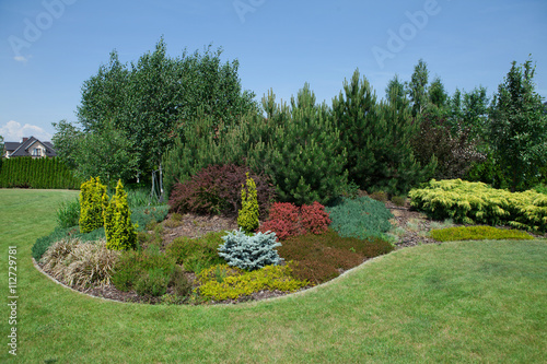 Landscaping in the garden 