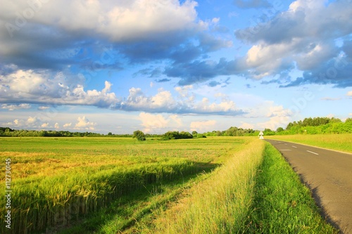 Road through agricultural fields 