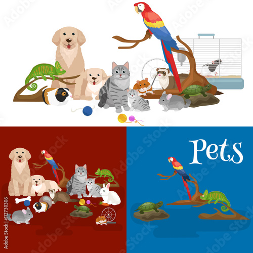 Home pets set, cat dog parrot goldfish hamster, domesticated animals