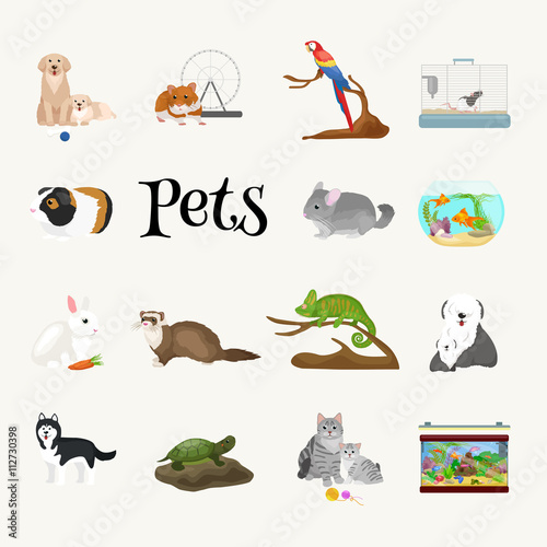 Home pets set, cat dog parrot goldfish hamster, domesticated animals