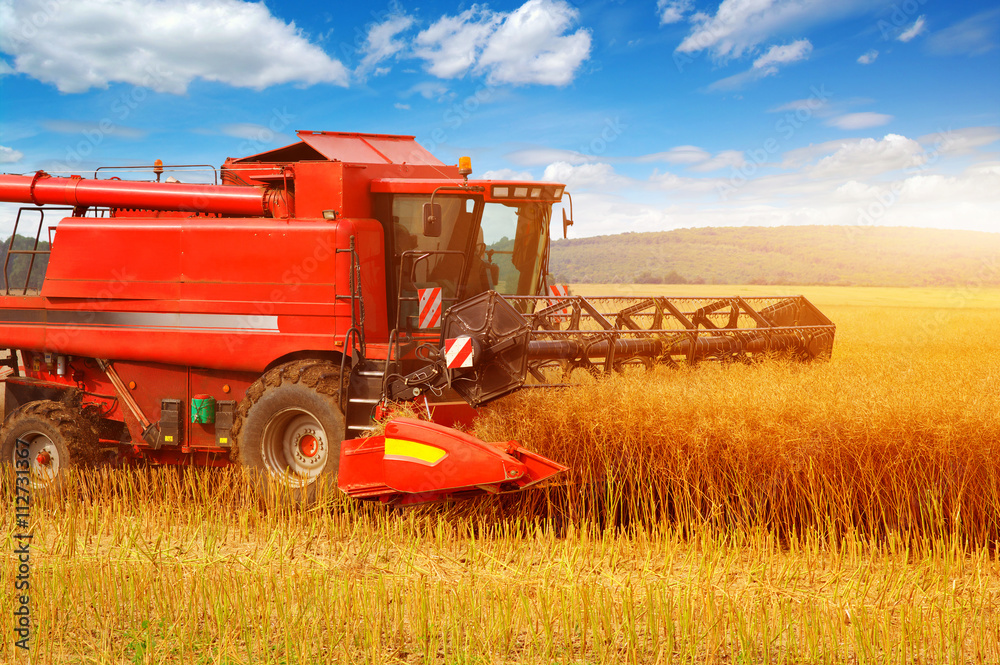 Obraz premium Combine working in field