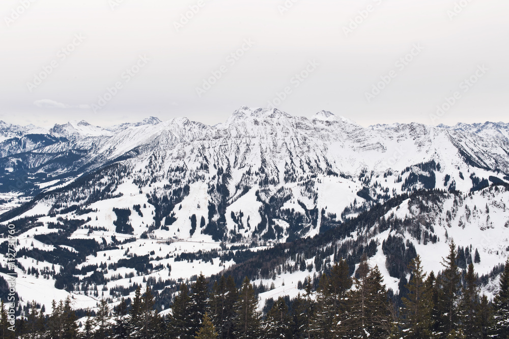 Obraz premium Snow covering mountain with trees