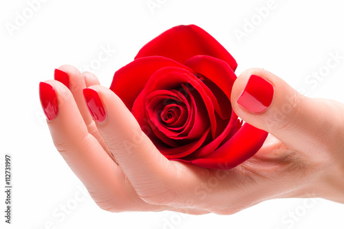 Piękna dłoń z kwiatkiem
