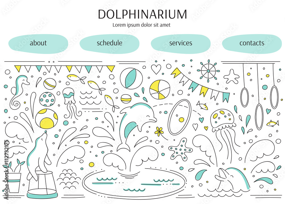 Dolphin show banner