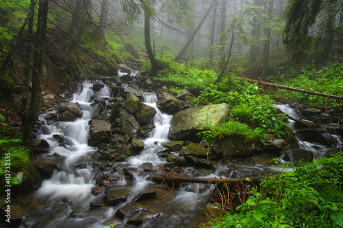 Creek in the woods