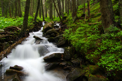 Mountain river in forest.