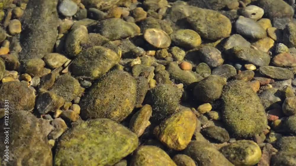 Dry leaves carried by the river current, in autumn time. Dry leaves carried by the river current, in autumn time.