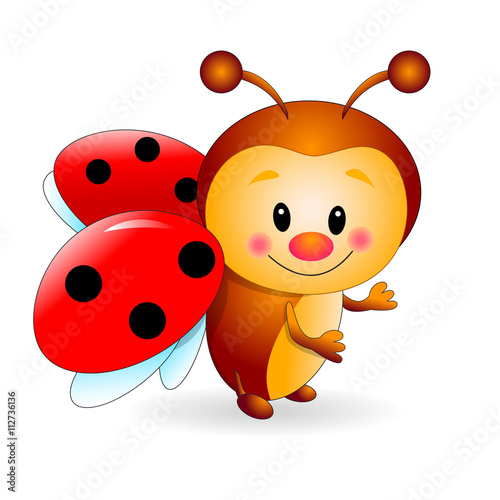 Cute ladybug