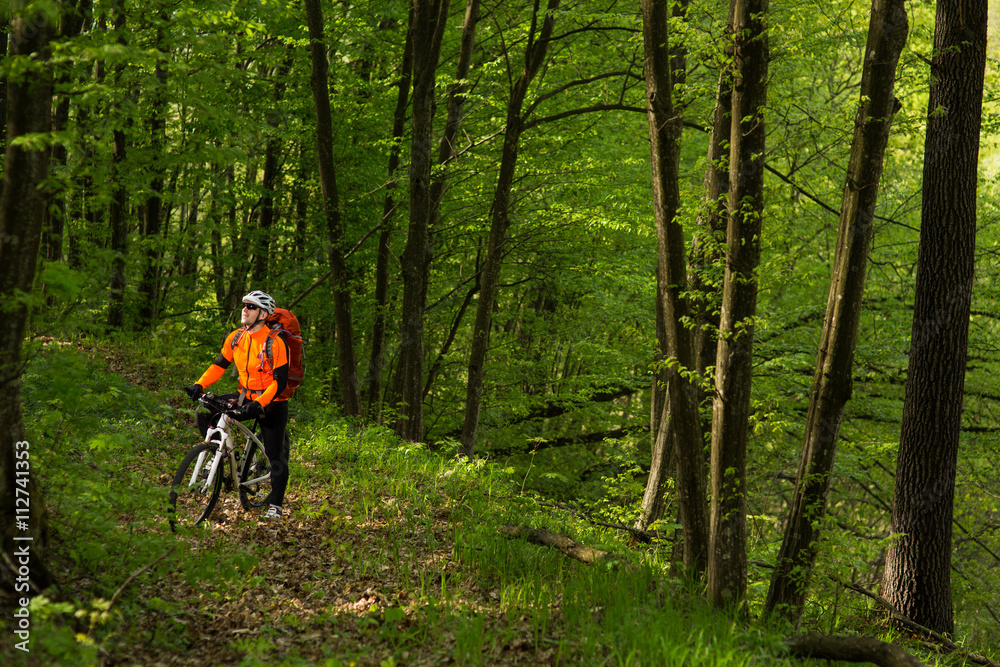 Cyclist Riding the Bike on a Trail in Summer Forest