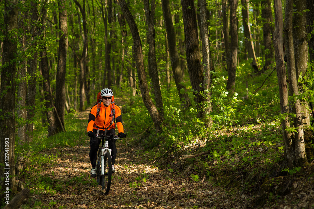 Fototapeta premium Cyclist Riding the Bike on a Trail in Summer Forest