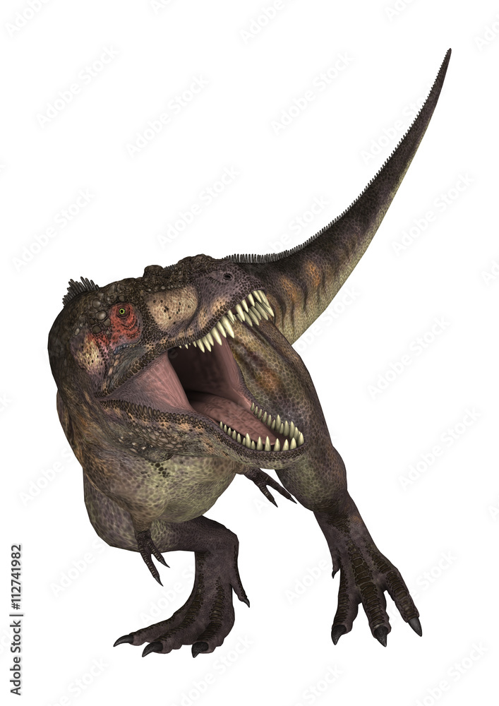 Fototapeta premium 3D Rendering Dinosaur Tyrannosaurus on White