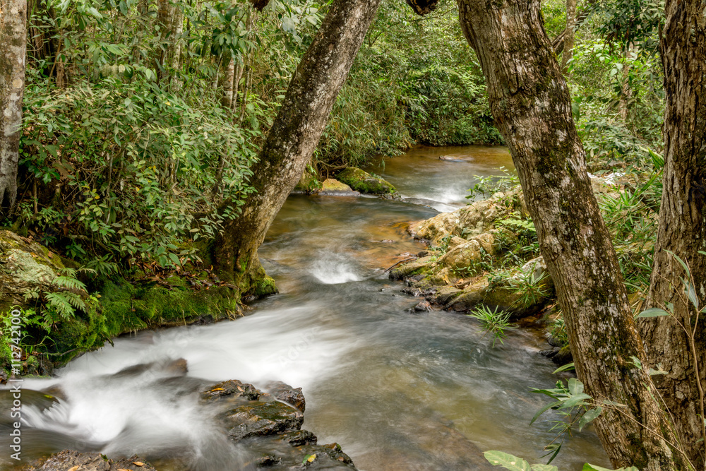 Little River running through the interior of Brazil Little River running through the interior of Brazil