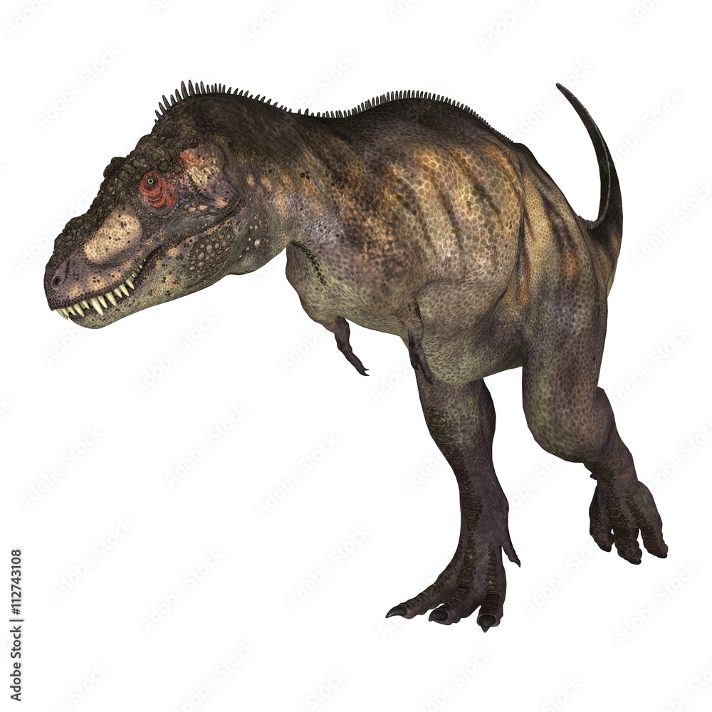 3D Rendering Dinosaur Tyrannosaurus on White 3D Rendering Dinosaur Tyrannosaurus on White